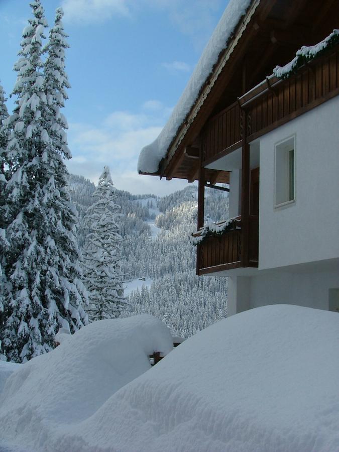 Hotel Ca' Del Bosco Selva di Cadore Exterior photo